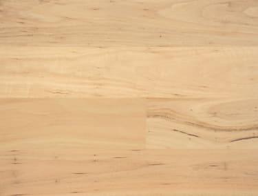 Australian Blackbutt 136